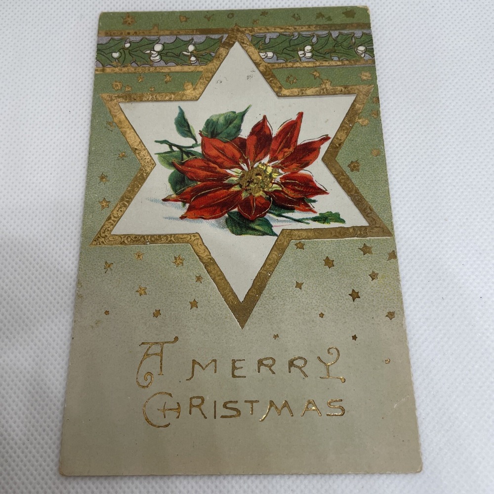 Vintage Christmas Postcard Poinsettia Flower Golden Star Series 7006 Germany
